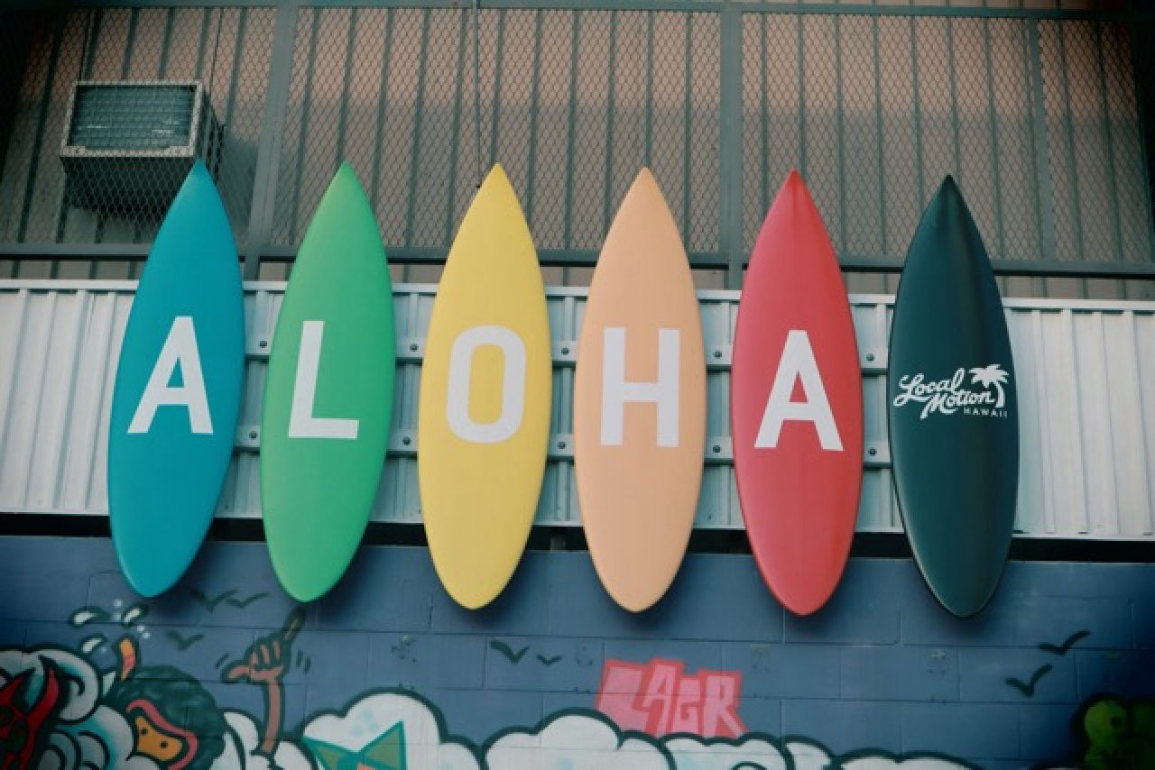 Hawaii Background Checks